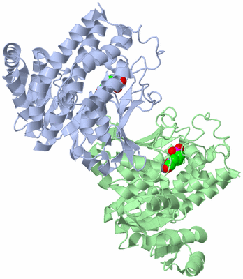 Image Asym./Biol. Unit