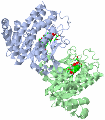 Image Asym./Biol. Unit - sites