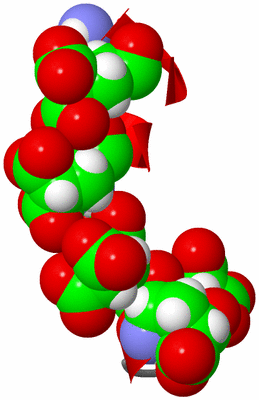 Image NMR Structure - model 1