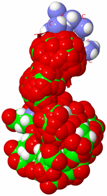 Image NMR Structure - all models