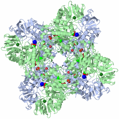 Image Biological Unit 1