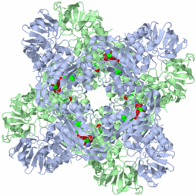 Image Biological Unit 1