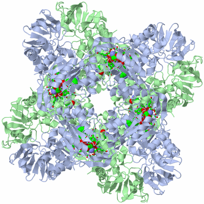 Image Biol. Unit 1 - sites