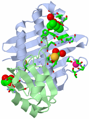 Image Asym./Biol. Unit - sites