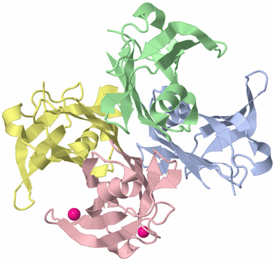 Image Asym./Biol. Unit