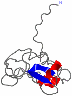 Image NMR Structure - all models