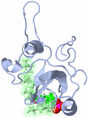 Image NMR Structure - model 1