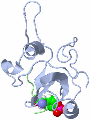 Image NMR Structure - all models