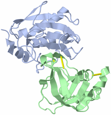 Image NMR Structure - model 1