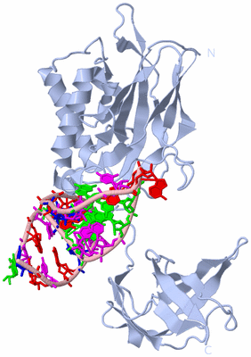 Image Biological Unit 1