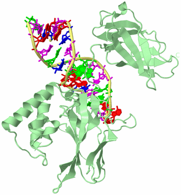 Image Biological Unit 2