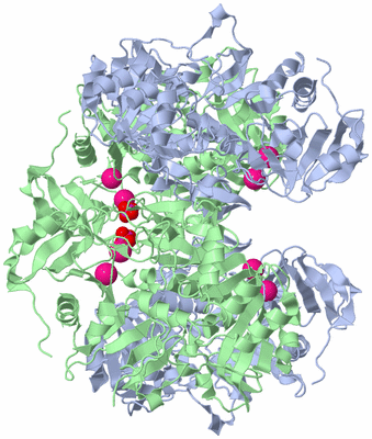 Image Biological Unit 1