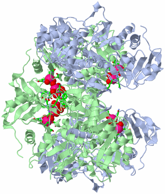 Image Biol. Unit 1 - sites