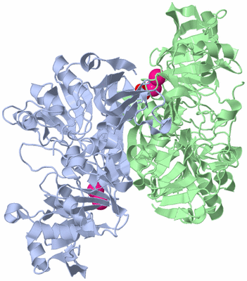 Image Biological Unit 2