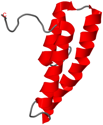 Image NMR Structure - model 1