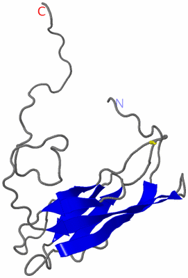 Image NMR Structure - model 1