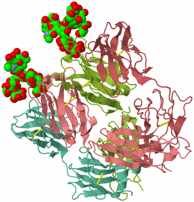 Image Asym./Biol. Unit