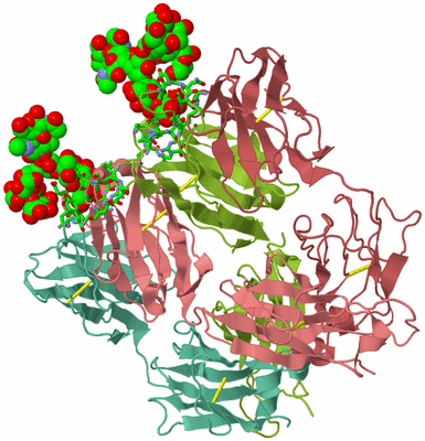 Image Asym./Biol. Unit - sites