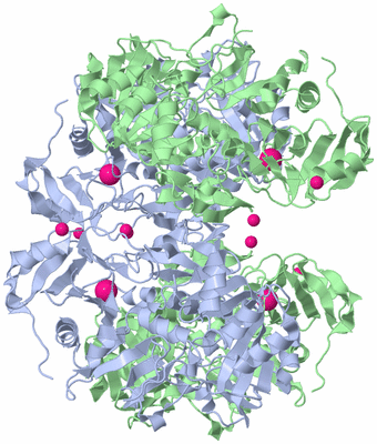 Image Biological Unit 1