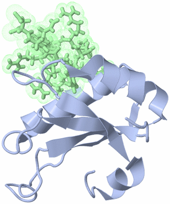 Image NMR Structure - model 1