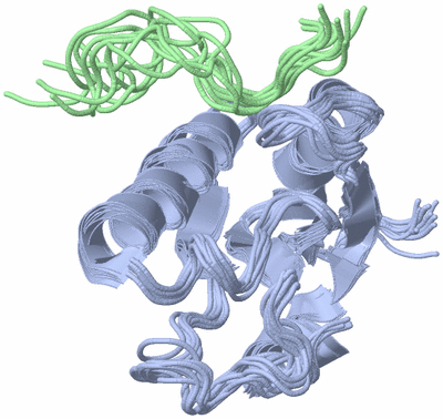 Image NMR Structure - all models