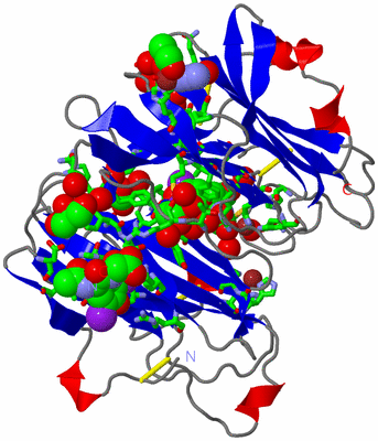 Image Asym./Biol. Unit - sites