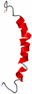 Image NMR Structure - model 1