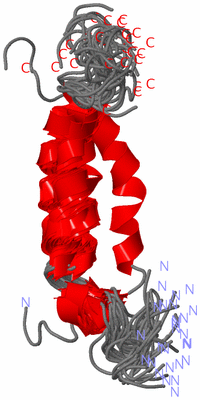 Image NMR Structure - all models