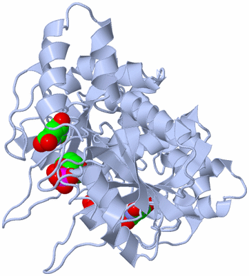 Image Biological Unit 1