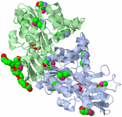 Image Asymmetric Unit