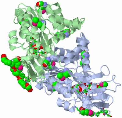 Image Asym. Unit - sites