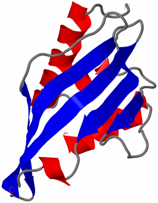 Image Asymmetric Unit