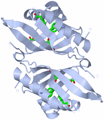 Image Biol. Unit 1 - sites