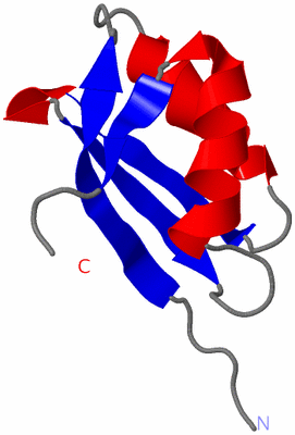 Image NMR Structure - model 1