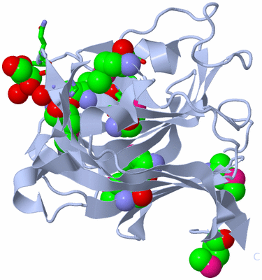 Image Biol. Unit 1 - sites