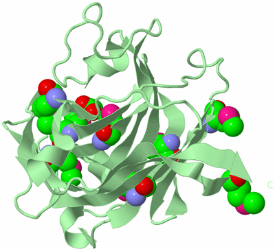 Image Biological Unit 2