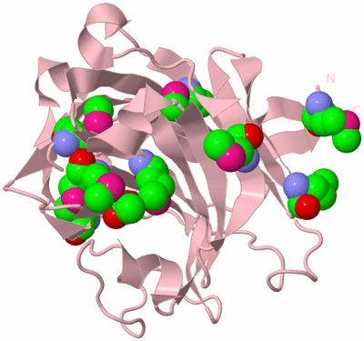 Image Biological Unit 3