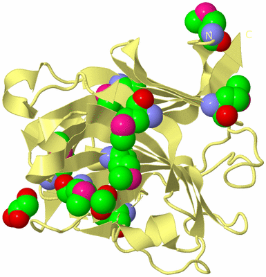 Image Biological Unit 4