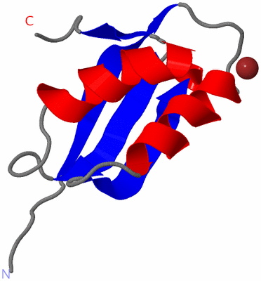 Image NMR Structure - model 1