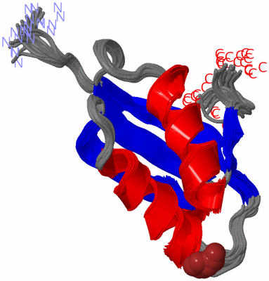 Image NMR Structure - all models