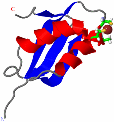Image NMR Structure - model 1, sites