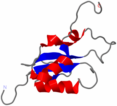 Image NMR Structure - model 1