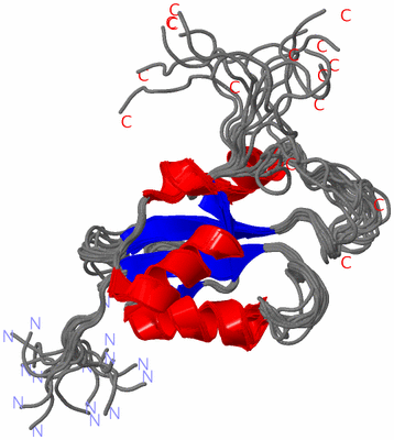 Image NMR Structure - all models