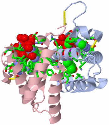 Image Biol. Unit 1 - sites