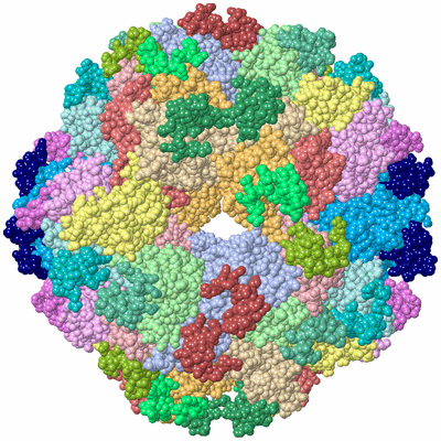 Image Biological Unit 1