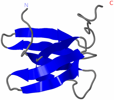 Image NMR Structure - model 1