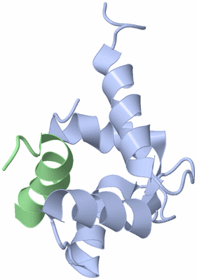 Image NMR Structure - model 1