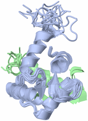 Image NMR Structure - all models