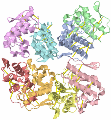 Image Asymmetric Unit