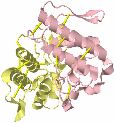 Image Biological Unit 2